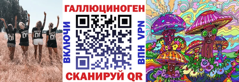 где продают наркотики Новокузнецк маркетплейс как зайти Галлюциногенные грибы Psilocybe
